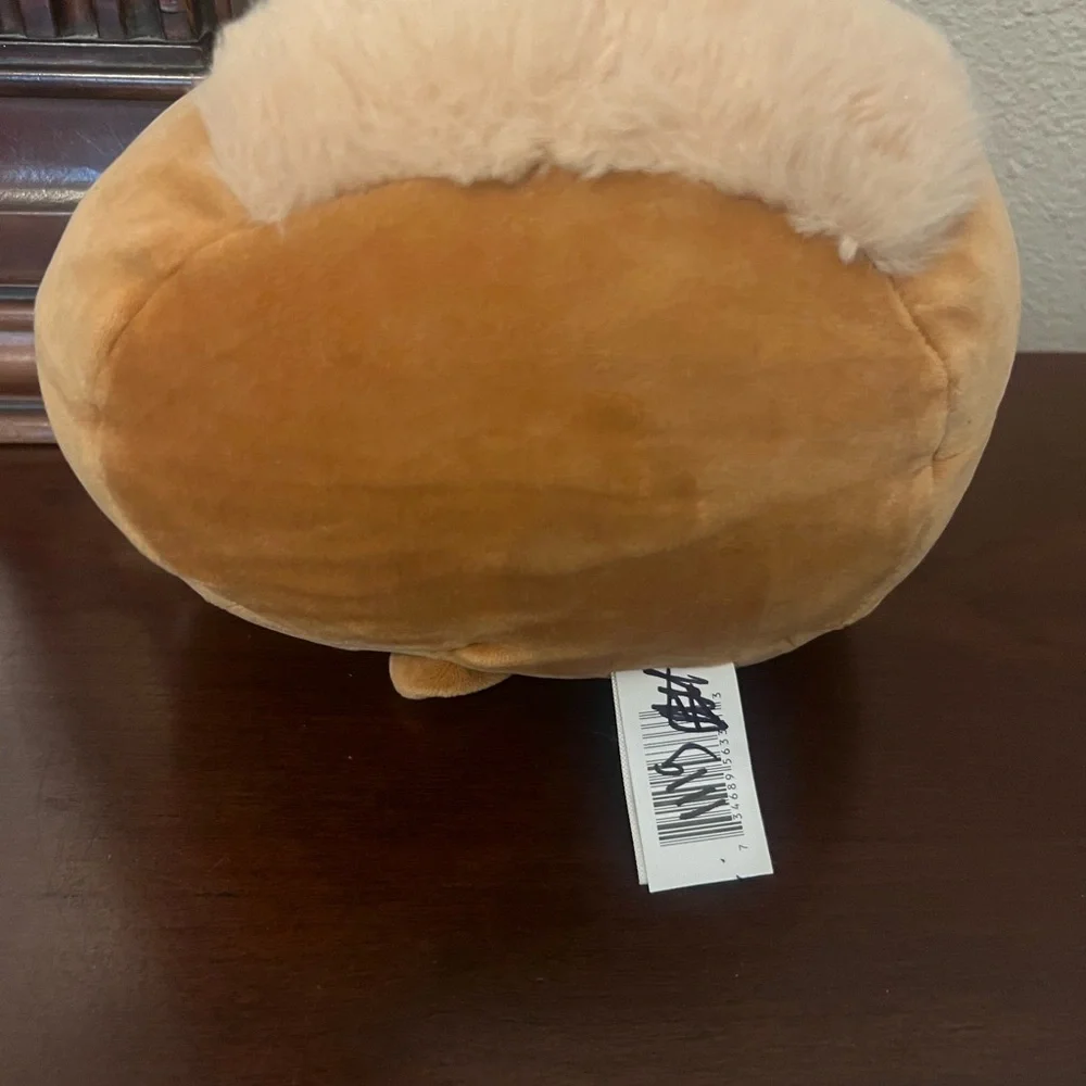 Squishmallows Dally The Pug Stuffed 8